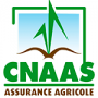 logo-CNAAS